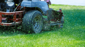 Mowing & Watering Recommendations from Mainely Grass