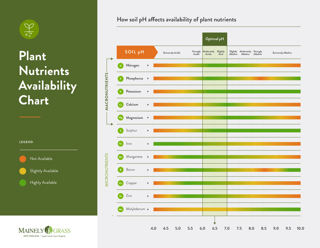 Nutrient-Availability-Chart_B-1030x796