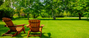 Beat the Heat: How To Maintain Your Lawn In The Summer