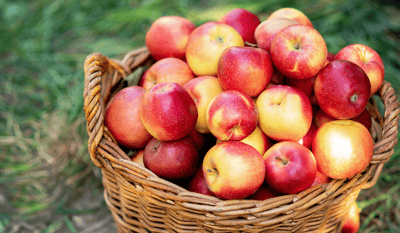 Basket of apples