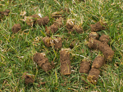 2023-blog_aeration-example_02