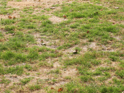 Different situations require different seeding strategies for the best results.