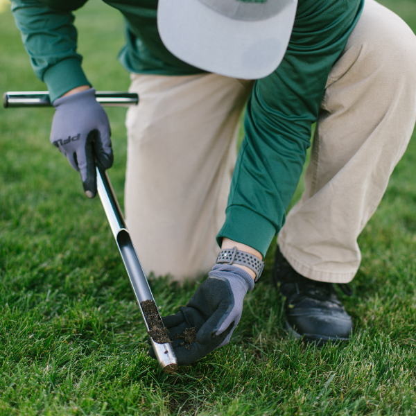 organic-lawn-soil-test