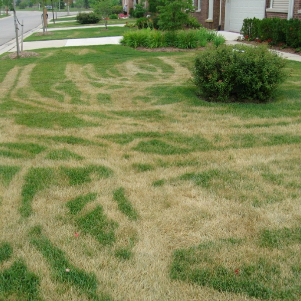 Heat tracking from mowing during a heat wave
