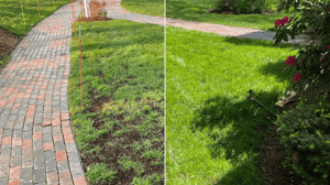 Aeration & Overseeding: Why Your Lawn Needs It Now