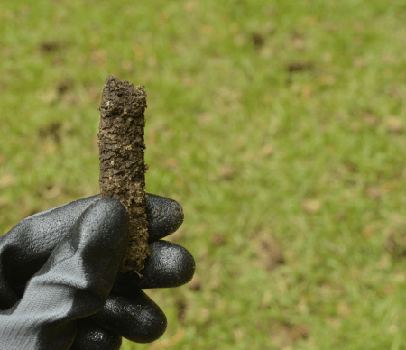 A removed soil plug from a core&nbsp;aerator