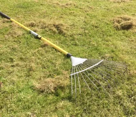 Spring clean up raking leaves from lawn