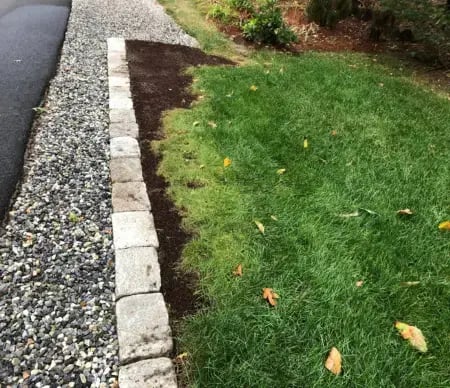 A homeowner preparing their lawn for seed after winter salt damage.