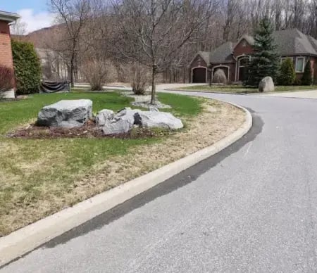 Lawn salt damage causing brown grass near a roadway after winter.