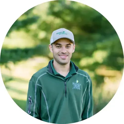 Mainely Grass lawn care expert providing professional service