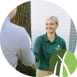 Mainely Grass lawn care technician shaking hands with customer, providing organic mosquito control services.