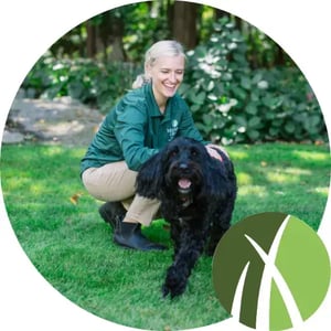 Mainely Grass technician kneeling beside happy dog on organic tick control treated lawn.