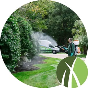 Mainely Grass technician applying tick and mosquito control spray to backyard bushes.