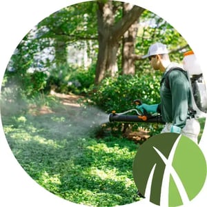 Mainely Grass technician spraying for ticks in shaded, wooded area.
