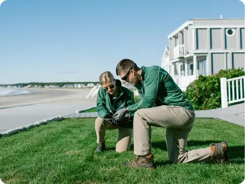 Two Mainely Grass technicians inspecting lawn health on a coastal property, ensuring expert lawn care service.