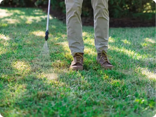 A Mainely Grass technician applying a targeted lawn treatment for weed and pest control.