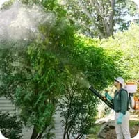 A Mainely Grass technician providing lawn pest control services at a coastal home for mosquitoes.