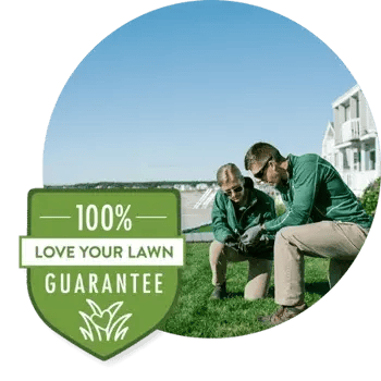 professional-lawn-care-mainely-grass-new-england-technians-circle-shield professional-lawn-care-mainely-grass-new-england-technians-circle-shield