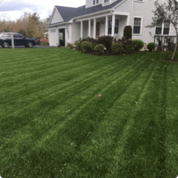 lawn-care-mainely-grass-portfolio-example-11