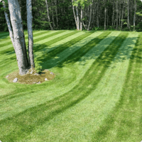 lawn-care-mainely-grass-portfolio-example-12