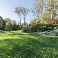 lawn-care-mainely-grass-portfolio-example-13