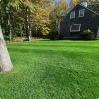 lawn-care-mainely-grass-portfolio-example-5