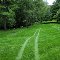 lawn-care-mainely-grass-portfolio-example-7