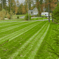 lawn-care-mainely-grass-portfolio-example-9