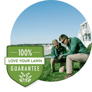 professional-lawn-care-mainely-grass-new-england-circle-3-1