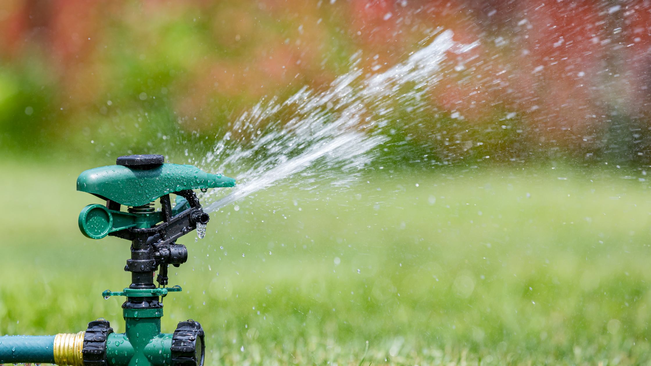 8 Effective Watering Strategies to Maximize Your Lawn's Health