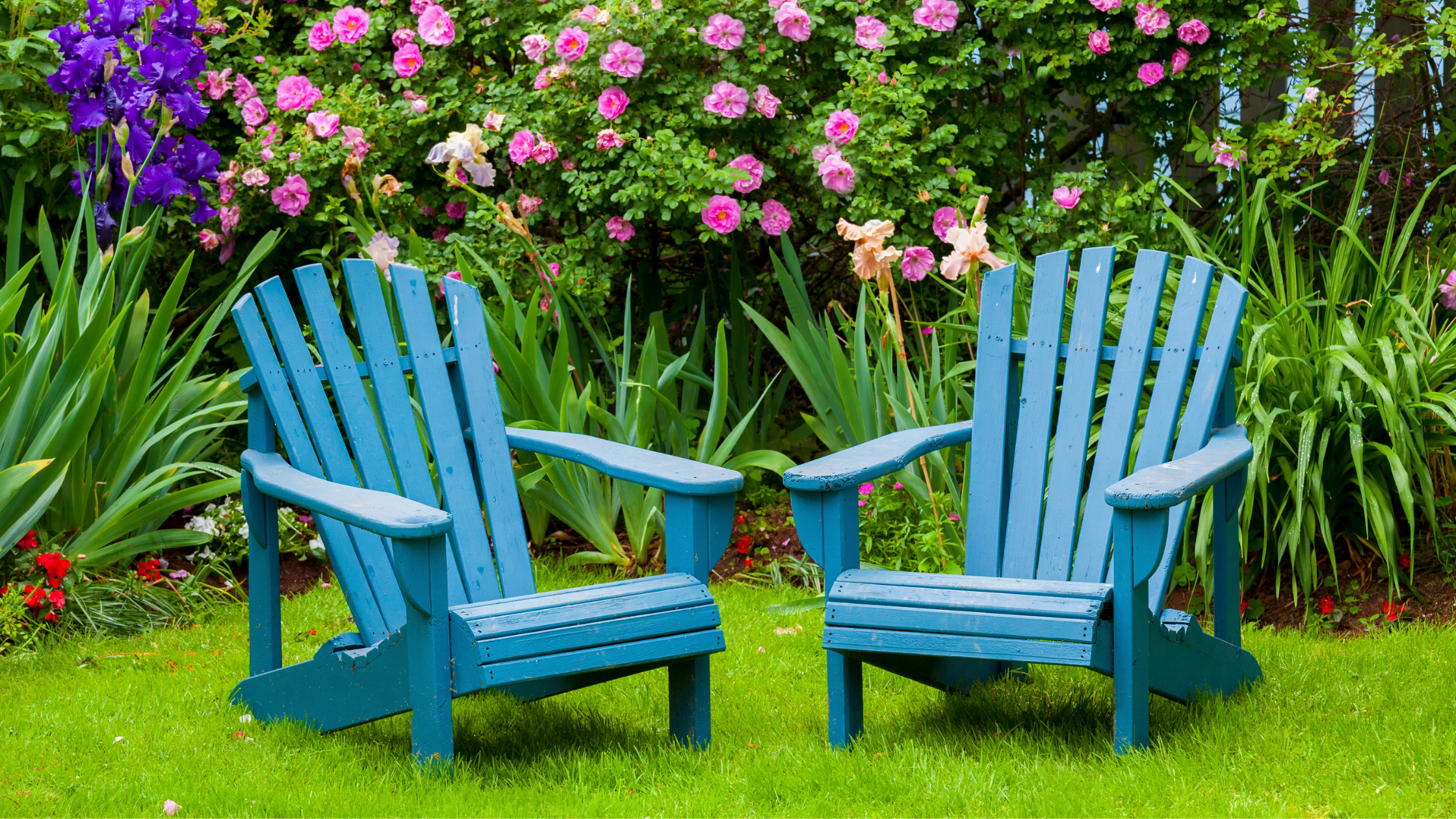 Beat the Heat: How To Maintain Your Lawn In The Summer