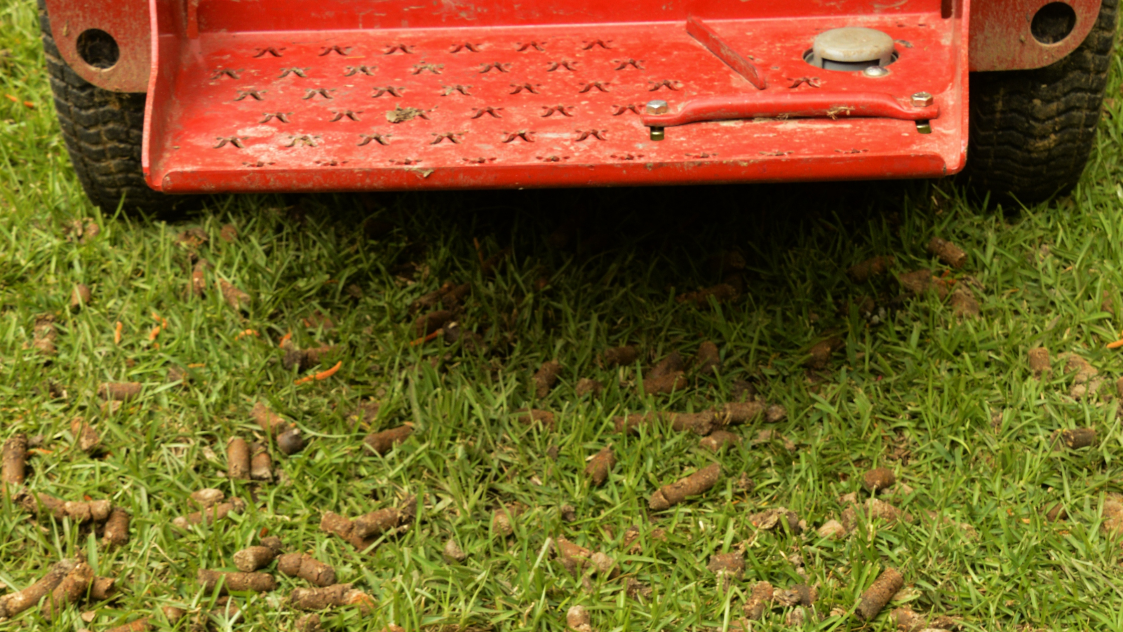 Fall Lawn Care: Why Aeration Is a Must