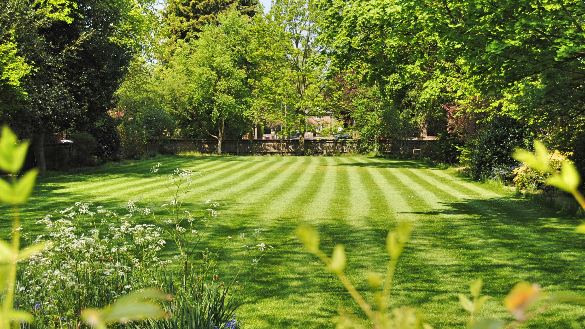 Our Approach to Crabgrass