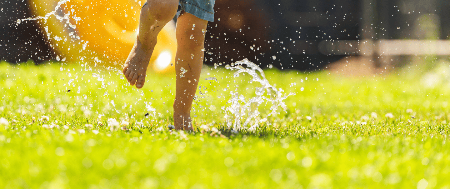 MGH Site - Lawn Care - banner (1440x605 px) (1)