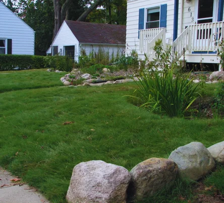 PestsDiseasesWeeds -native grass- (444 × 403 px)