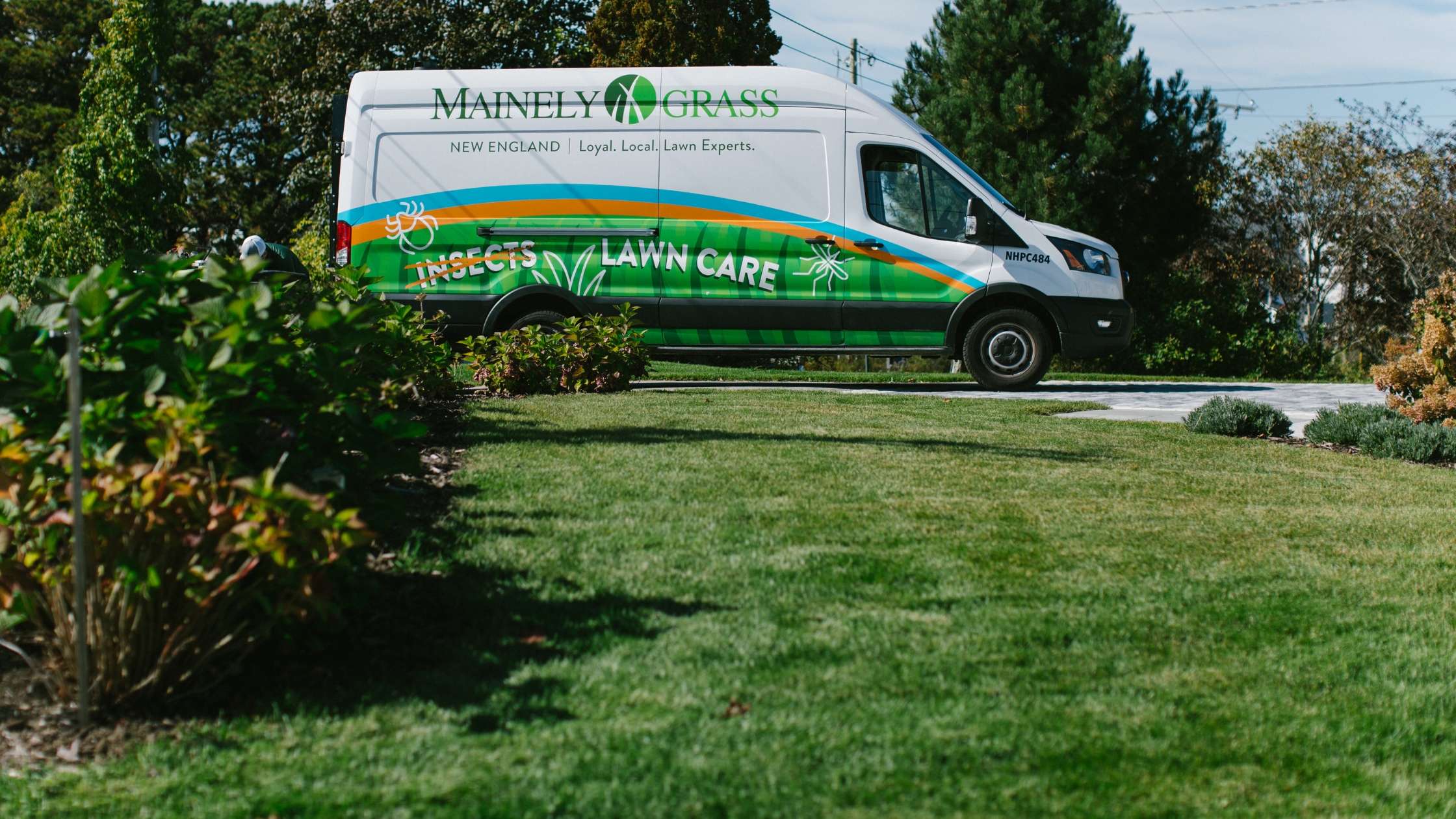 Why a Thick Lawn Is Your Best Defense Against Weeds