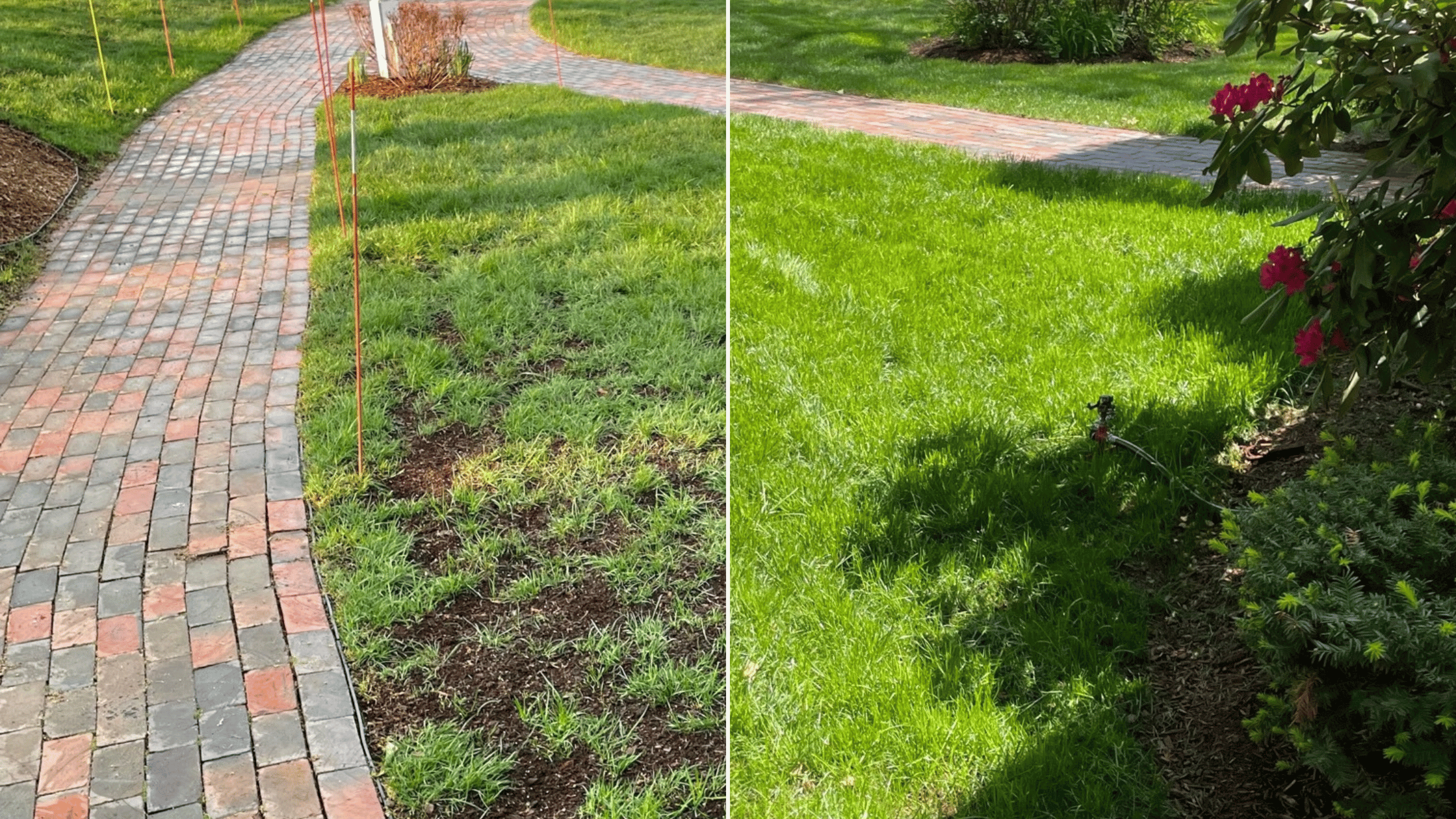 Aeration & Overseeding: Why Your Lawn Needs It Now
